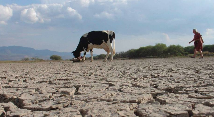 Sequía en todo el estado es grave en al menos 7 municipios