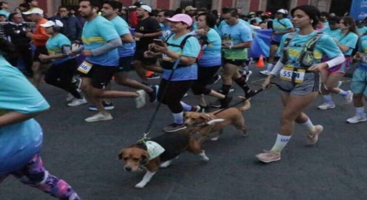 Un experimento fallido, el Medio Maratón Universitario