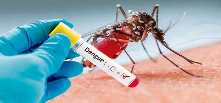 Aumentan los casos de dengue en San Luis Potosí en este 2025