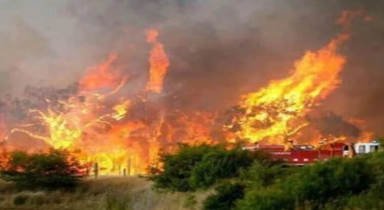 Protección Civil informó que se tienen 11 incendios que están activos en San Luis Potosí