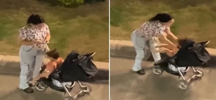 Investigan el presunto caso de abuso infantil en la capital de San Luis Potosí