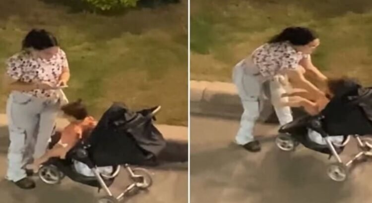 Investigan el presunto caso de abuso infantil en la capital de San Luis Potosí
