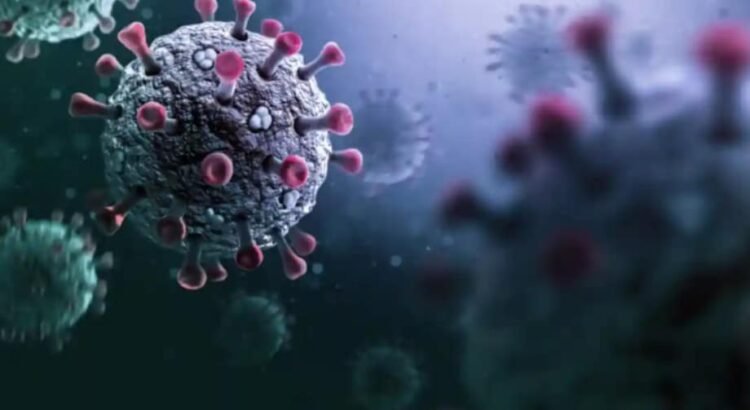 Emite la OMS alerta por virus Stratus