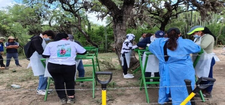 Un colectivo localizó fosa en San Luis Potosí en el mes de febrero y la Fiscalía apenas investiga
