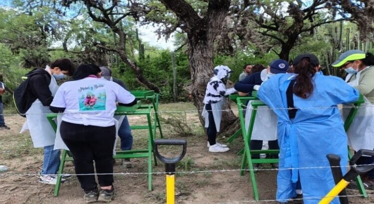 Un colectivo localizó fosa en San Luis Potosí en el mes de febrero y la Fiscalía apenas investiga