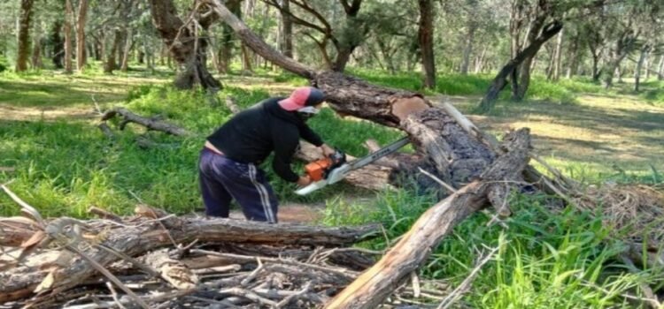 Se refuerza con acciones preventivas tras las lluvias los parques Tangamanga
