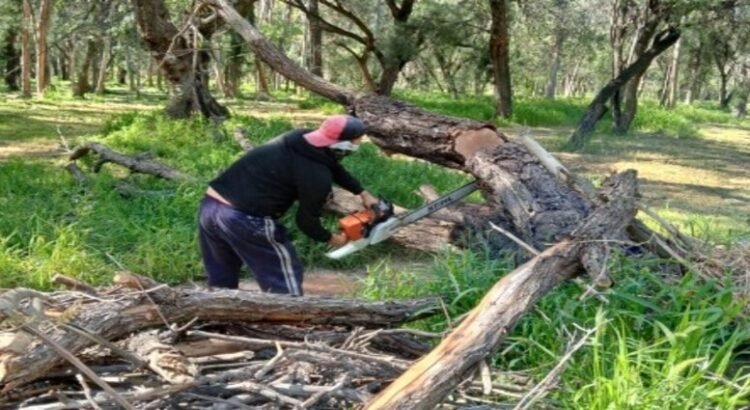 Se refuerza con acciones preventivas tras las lluvias los parques Tangamanga
