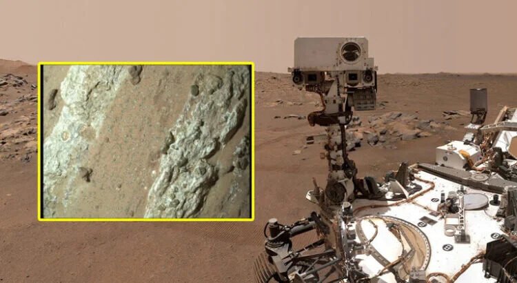 La NASA anuncia el descubrimiento de vida en Marte con un alto grado de confianza