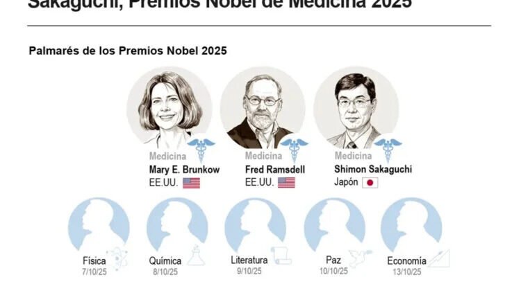Nobel de Medicina para Brunkow, Ramsdell y Sakaguchi por descubrir las células que controlan al sistema inmunitario