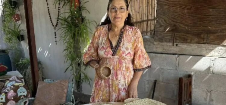 Crean en Sierra de la Giganta artesanías con matacora