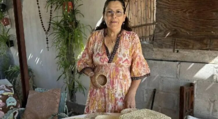 Crean en Sierra de la Giganta artesanías con matacora