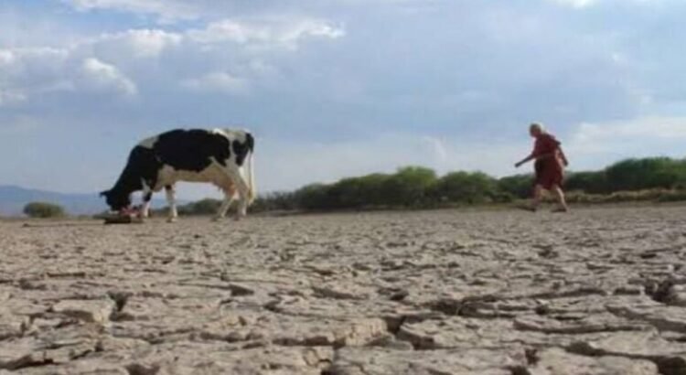 Concluye la sequía en el estado de San Luis Potosí Concluye la sequía en el estado de San Luis Potosí