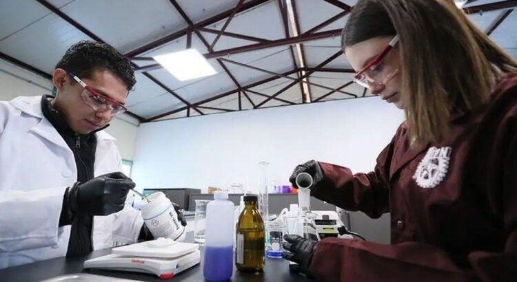 Estudiantes mexicanos desarrollan plástico capaz de diluirse en el agua y ayudar a purificarla