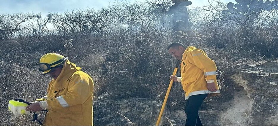 El estado de San Luis Potosí, tiene un registro de 70 incendios forestales en lo que va del año
